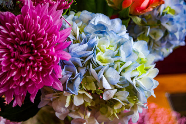 Hydrangeas, roses and other flowers in a bouquet