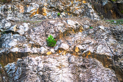 Rocks and stones cling to the mountain wall, creating a rugged and textured ascent, a challenging journey through the steep and rocky terrain.