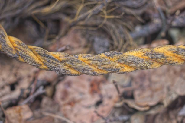 part of one old iron rusty brown yellow cable on the street