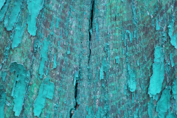 green wood texture from a worn old board with chunks of paint
