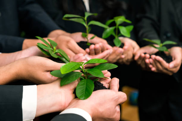 istock Eco-friendly business investment on forest regeneration. Quaint 2100256357