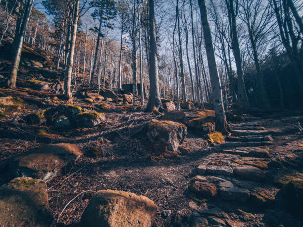 Trail to Chojnik Castle - Sudety Mountains - Poland