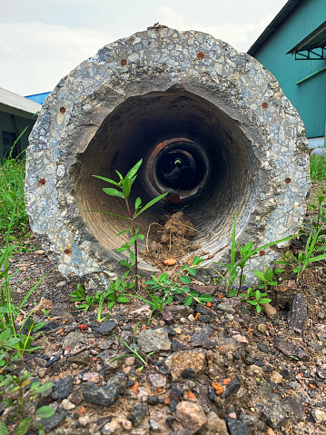 Small plant insude the circle of concrete spun pile