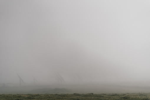 A foggy field with a few trees in the background. The sky is overcast and the grass is wet