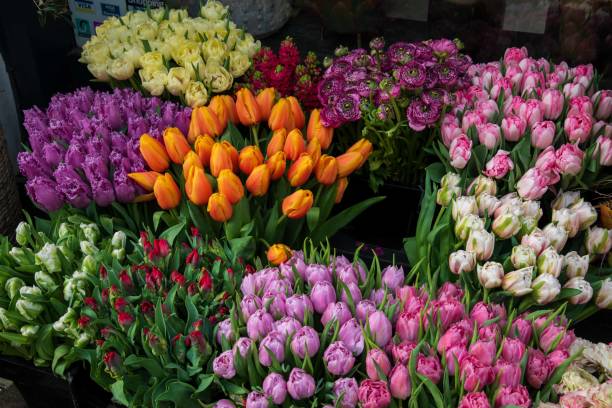 istock Colorful Tulip display in a flower shop 2100365734