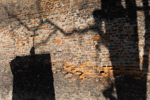 Shadow of Chapel, Trees Shadow on Brick Wall
