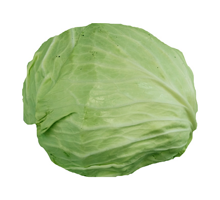 Green cabbage on white background