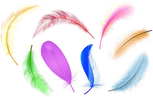 istock Set of flying realistic vector goose or swan white feathers of various shapes. Ecological feather filler for pillows, blankets or jackets.Vector concept design. 2100389176