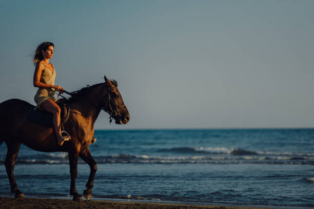 Portrait perlino colored horse by the ocean. Film (Olympus Trip AF 31+ kodak gold) photography. Film grain.