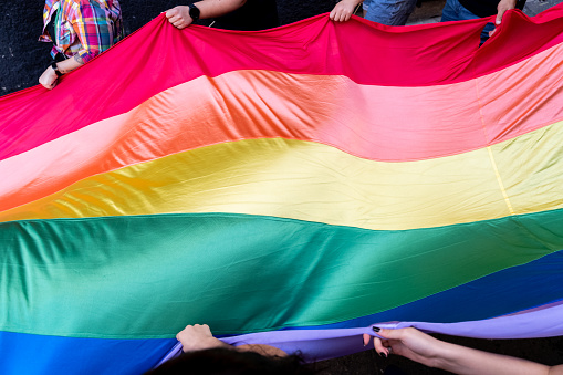 people demonstrating on Pride Day with pride flag