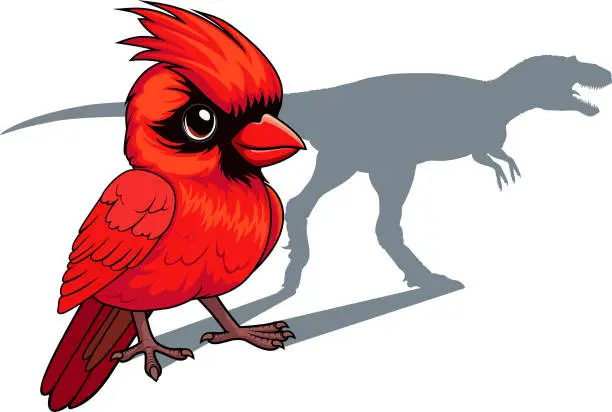 Vector illustration of Funny t-shirts design with red cardinal and dinosaur shadow