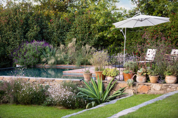 istock Beautiful garden design with pool 2100499357