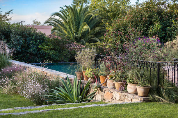 istock Beautiful garden design with pool 2100499876