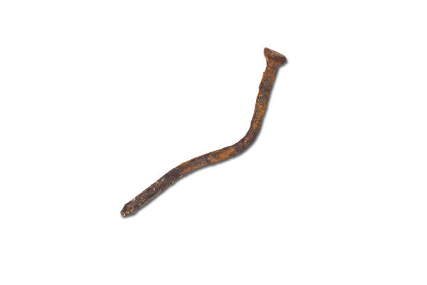 Metal nail heads or old iron nails isolated on white background, clipping path