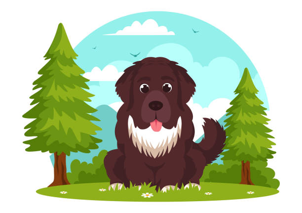 newfoundland dog animals vector illustration with black, brown or landseer color in flat style cute cartoon nature background design - black labrador black dog retriever stock illustrations