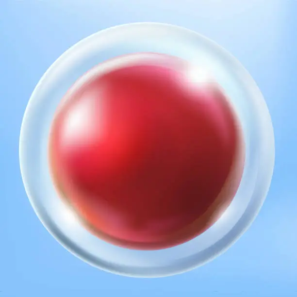 Vector illustration of Transparent round glass Red button