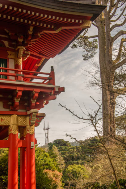 istock Japanese Tea Garden 2100668538