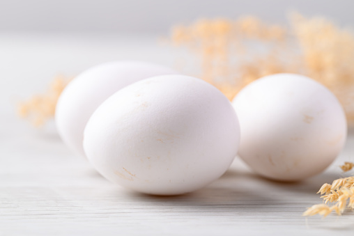 Organic white leghorn egg from free range farm on white table