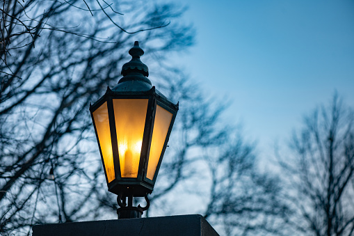 Illuminated Street Lantern at Twilight with Winter Trees in Brooklyn Bridge Park in New York.