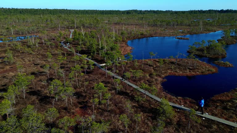 A woman and man hiking along a wooden walkway in a swampy landscape - aerial flyover