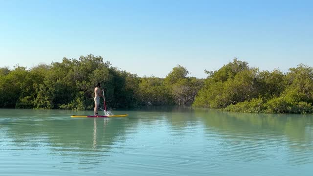 naked man stand on paddle board among tropical mangrove forest in Iran peaceful time joyful adventure calm environment mangroves tree picture reflection on water marine concept middle east Iran nature