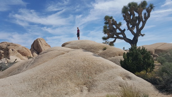 Jumbo Rock formations at Joshua Tree National Park