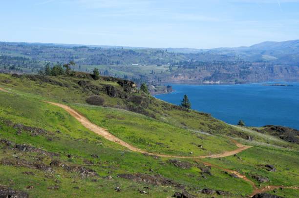 istock Dirt hiking path winding through meadow by a river 2100849050
