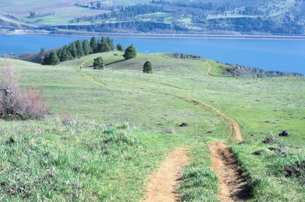 istock View looking down a steeply sloped meadow with mountain biking trail 2100854186