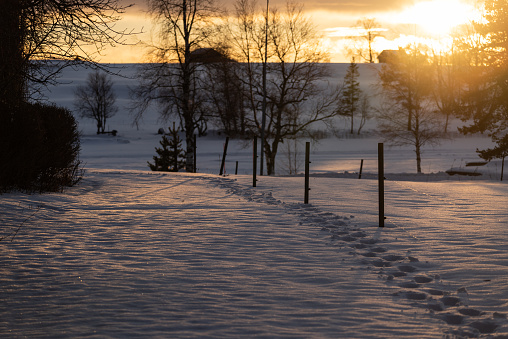 Sunrise shines on snowy fields in Swedish Jamtland
