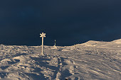 Snow-covered trail markers at dawn