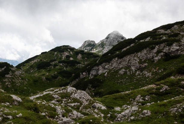istock Rocky green alpine landscape 2100893039