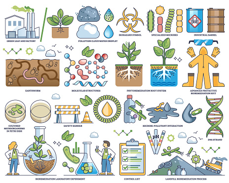 Bioremediation as microorganism usage for soil treatment outline collection. Element set with nature contamination and microbes for cleanup vector illustration. Pollution removal with natural methods