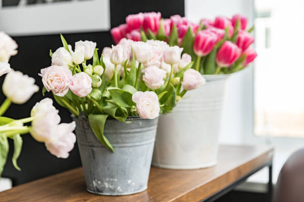 istock White and pink tulips in decorative buckets on the table. Nobody. 2100952687