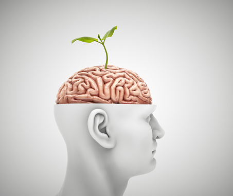 Man with half head and a brain with a small plant on it. This is a 3d render illustration
