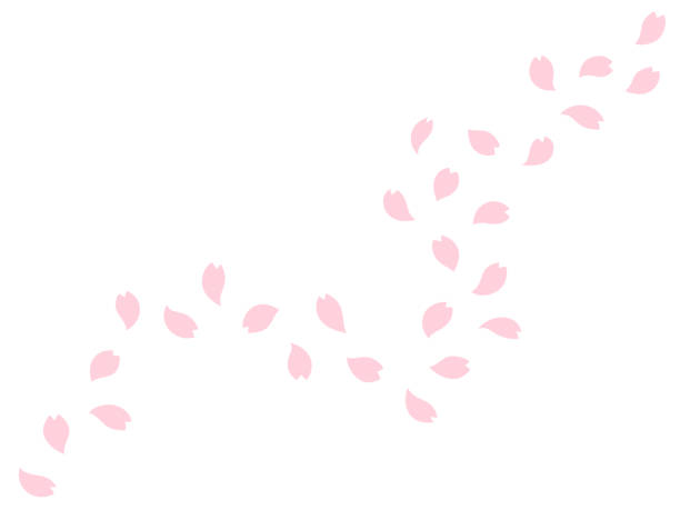 ilustracja różowych płatków kwiatów wiśni opadających po przekątnej - floating on water petal white background water stock illustrations