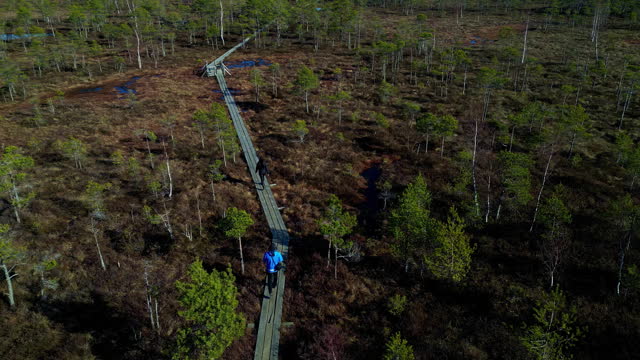 Two Persons Walking On Wooden Path Through Bog Land On Sunny Day. aerial slow motion shot