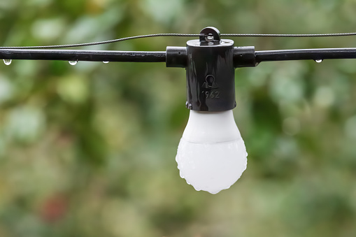 A garland light bulb with raindrops forming on it. incandescent light bulb