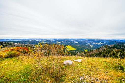 Landscape in autumn at Feldberg in the Black Forest. Feldbergsteig hiking trail. Nature in the Breisgau-Hochschwarzwald district in Baden-Württemberg.