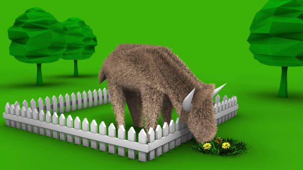 A brown bison inside the fence walks towards the edge of the fence and timidly eats grass. A short cartoon scenario created for children. / You can see the animation movie of this image from my iStock video portfolio. Video number: 2092348897