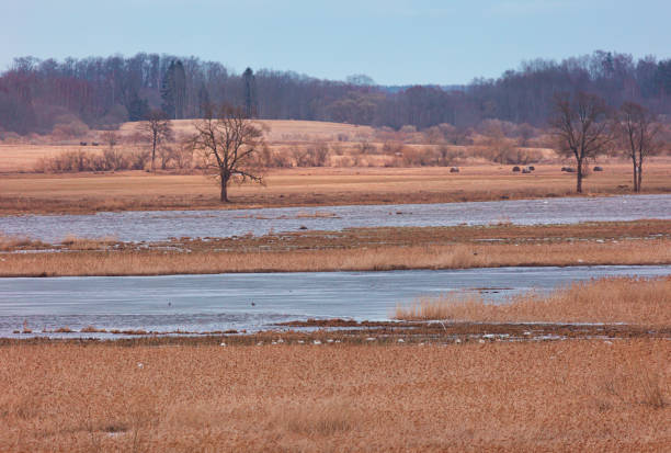 istock A beautiful early spring landscape with a river. 2101109328
