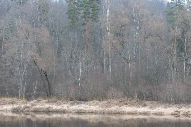 A beautiful early spring landscape with a river. Natural rural scenery of Northern Europe.