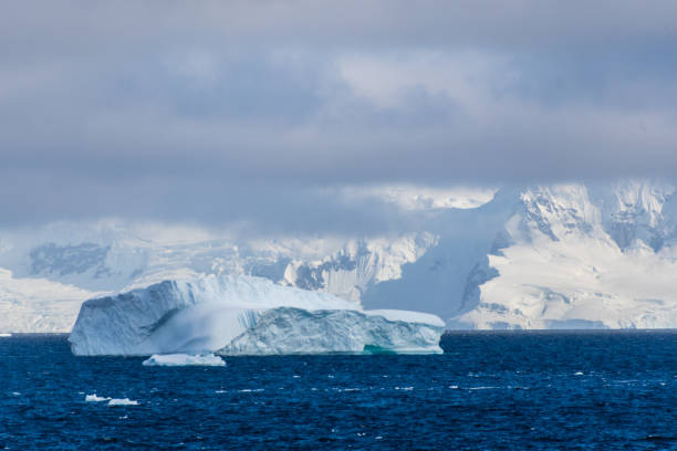 istock Icebergs near Graham passage 2101113605