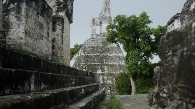 Temple Ruin Tikal and green Trees