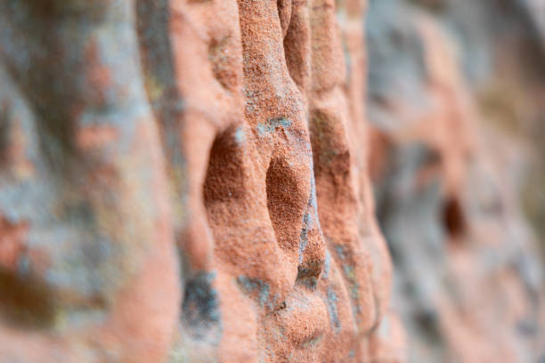 A beautiful sandstone cliff wall with engraved markings. Springtime scenery of Gauja National Park, Latvia.