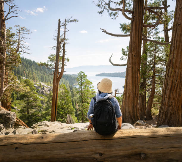 Woman sitting on a big tree trunk and enjoying the views at Lower Eagle Falls. Emerald Bay. Lake Tahoe. California.