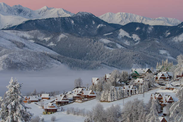 istock Winter panorama from Gubalowka 2101141240