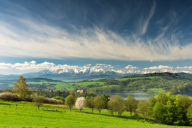 istock Spring panorama green fields and trees in Czorsztyn 2101175458