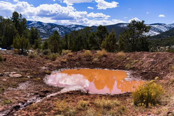 Muddy Watering Hole in Desert Area - Grazing area and muddy watering hole for cattle and other livestock.