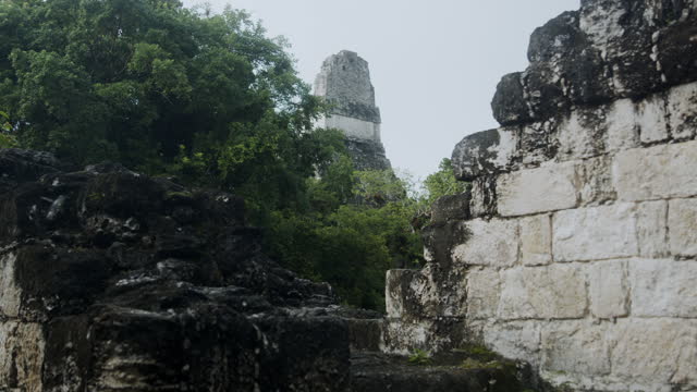 Temple Ruin Tikal and Trees