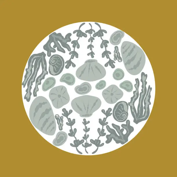 Vector illustration of Shells undersea world pattern in a circle poster